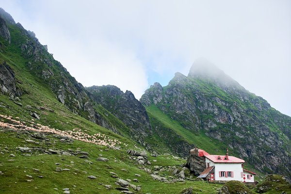 Comment choisir un camping écologique en Dordogne ?