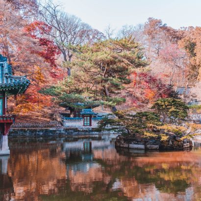 a pond in a park with a building in the background